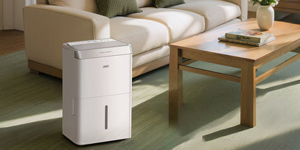 Collection image for: DREO Dehumidifiers