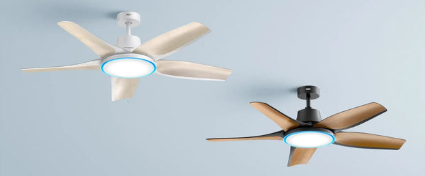 <h2><strong>Ceiling Fans</strong></h2>